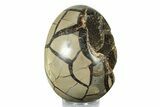 Septarian Dragon Egg Geode #253561-1